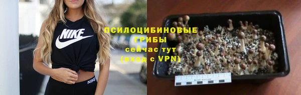 стафф Армянск