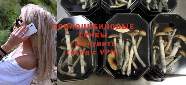 ALPHA PVP Аркадак